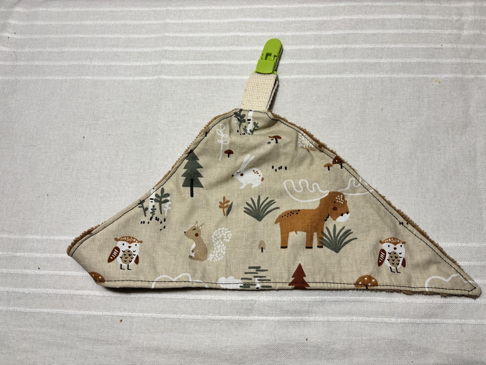 Triangle de dentition